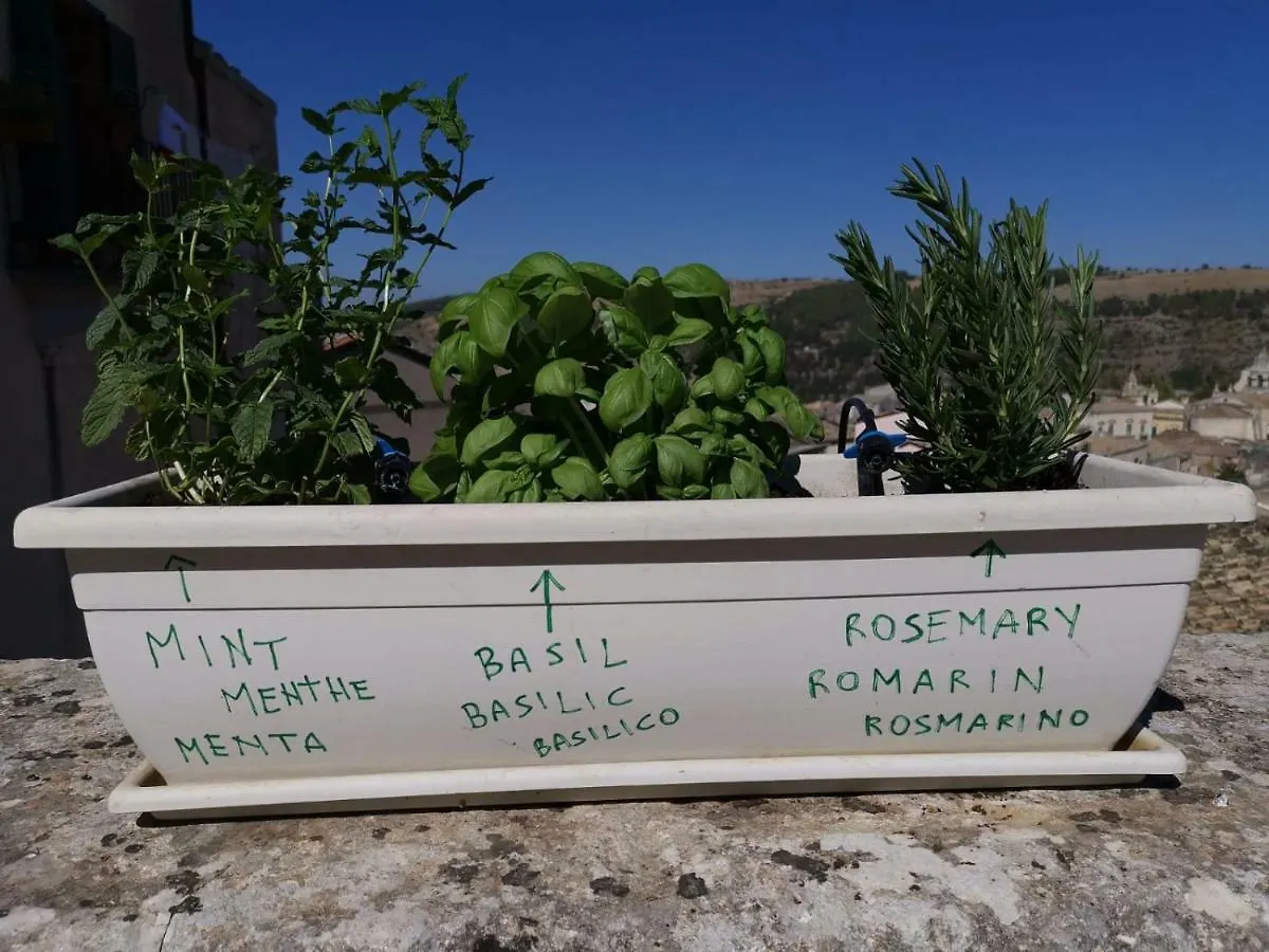 Holiday home Casa Vacanze Al Duomo Ibla Ragusa